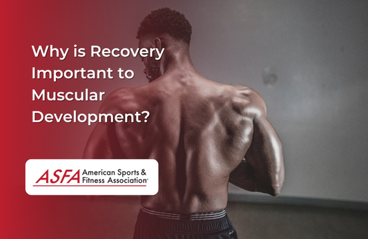 Why is Recovery Important to Muscular Development?