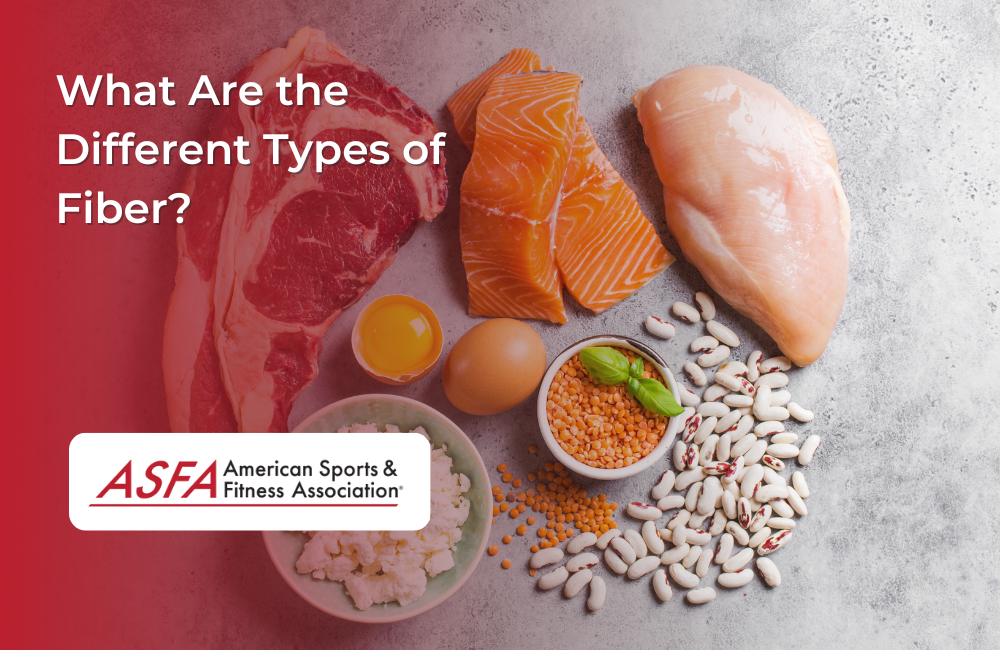 What Are the Different Types of Fiber? 