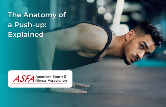 The Anatomy of a Push-up: Explained