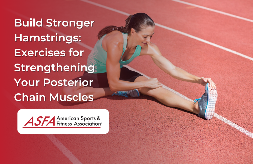 Build Stronger Hamstrings: Exercises for Strengthening Your Posterior Chain Muscles