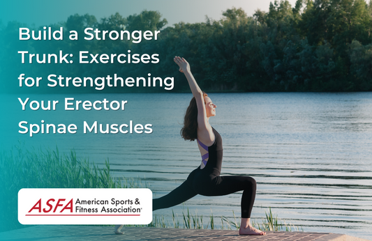 Build a Stronger Trunk: Exercises for Strengthening Your Erector Spinae Muscles