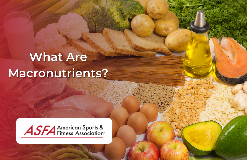 What Are Macronutrients?