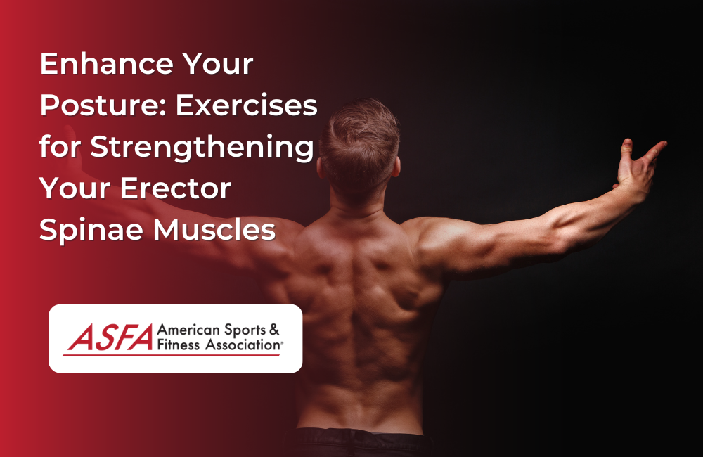 Enhance Your Posture: Exercises for Strengthening Your Erector Spinae Muscles