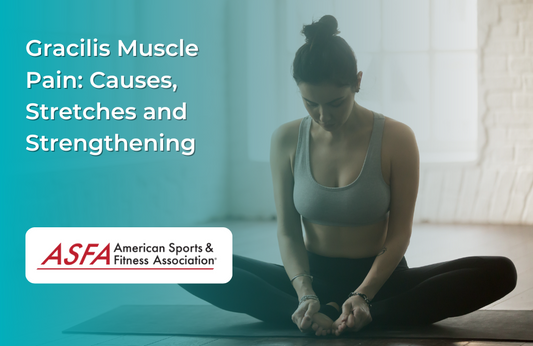 Learn about Gracilis Muscle pain causes, stretches and strengthening. 