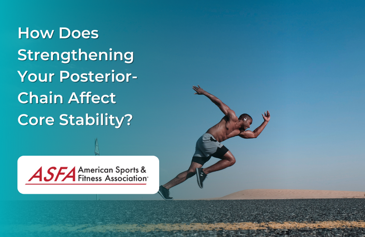 How Does the Posterior-Chain Affect Core Stability?