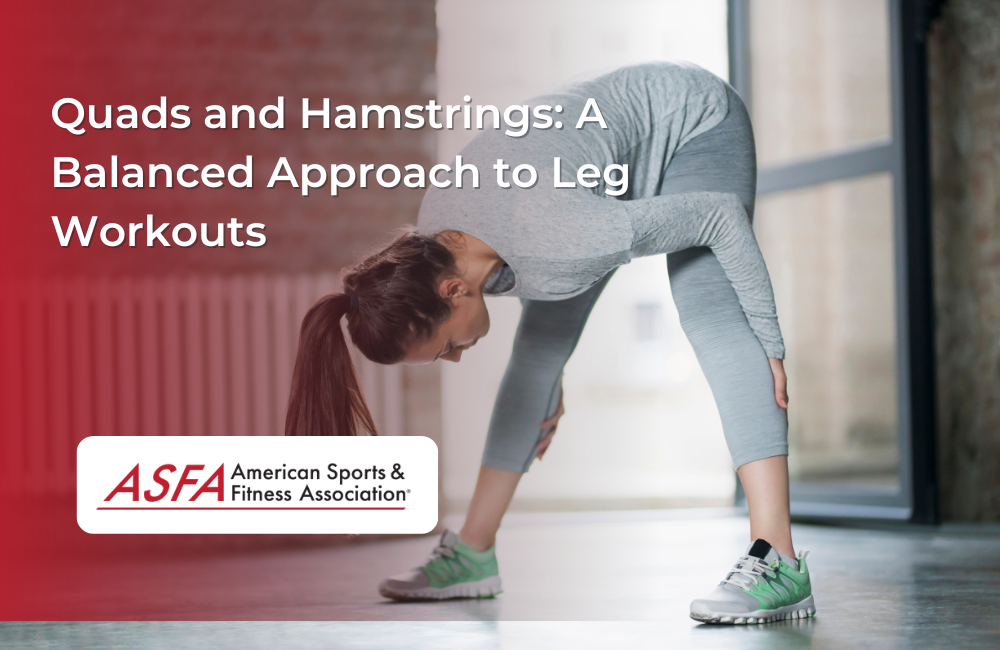Quads and Hamstrings: A Balanced Approach to Leg Workouts