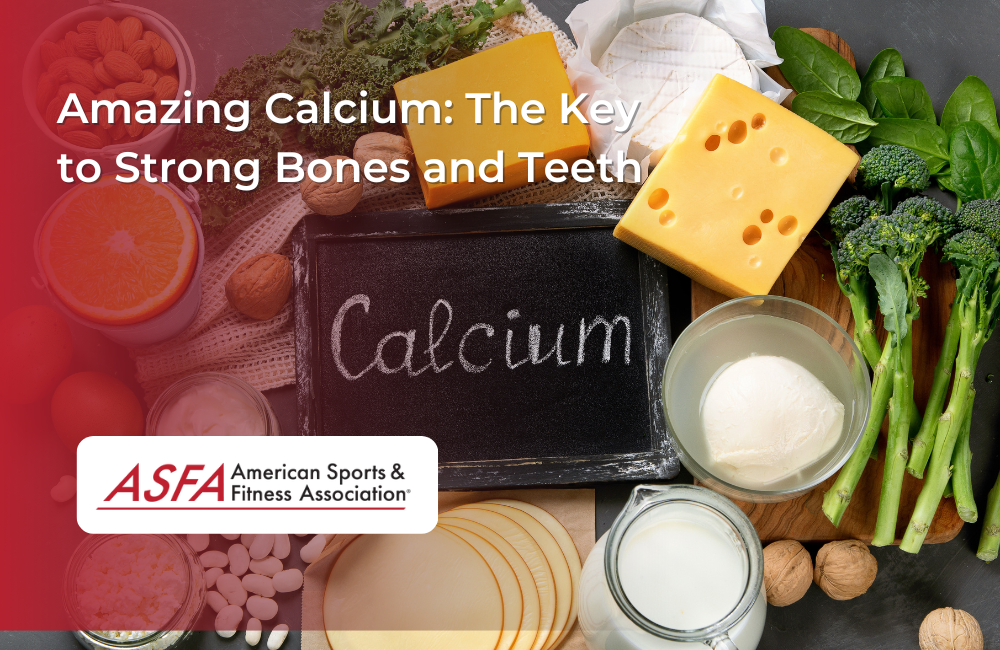 Amazing Calcium: The Key to Strong Bones and Teeth