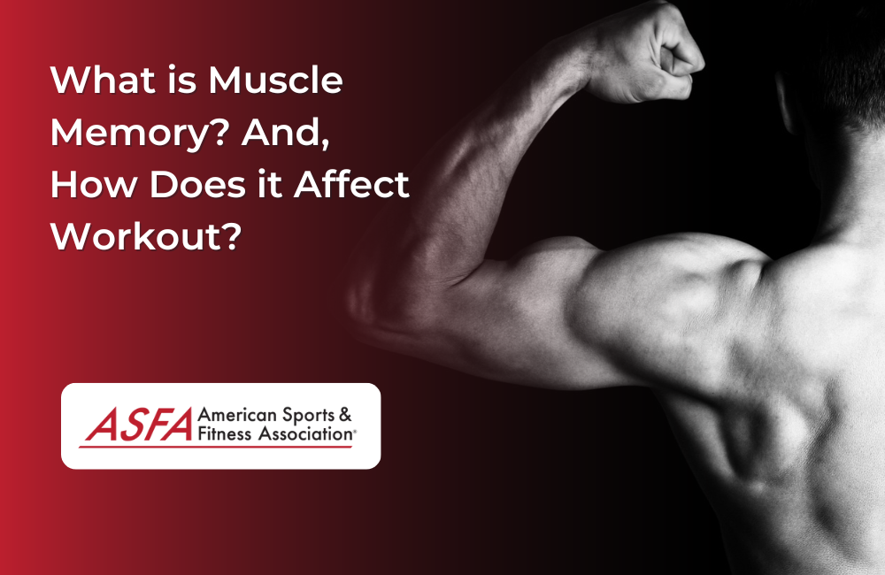 What is Muscle Memory? And, How Does it Affect Workout?