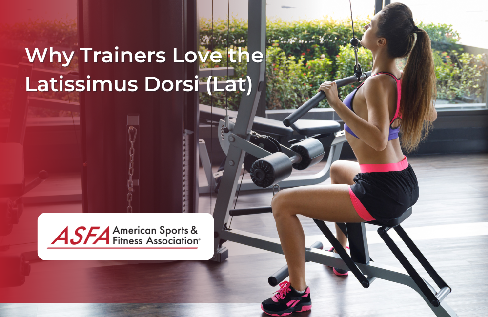 Why Trainers Love the Latissimus Dorsi (Lat)