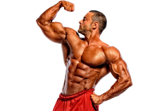 Bodybuilding Trainer Certification